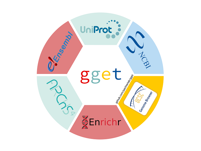 gget_logo